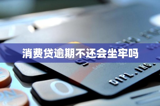 消费贷逾期不还会坐牢吗