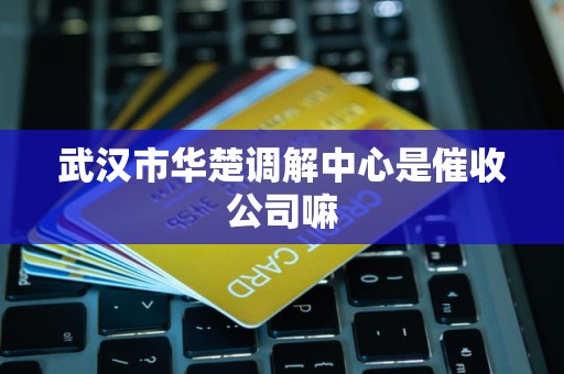 武汉市华楚调解中心是催收公司嘛