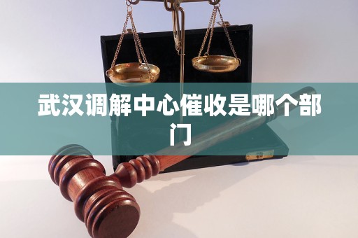 武汉调解中心催收是哪个部门