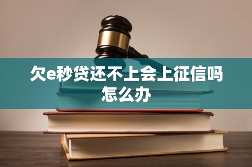 欠e秒贷还不上会上征信吗怎么办