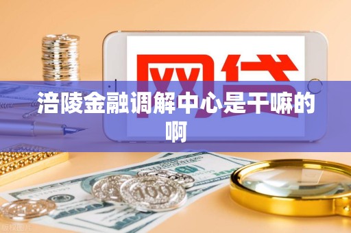 涪陵金融调解中心是干嘛的啊 涪陵金融调解中心是干嘛的啊