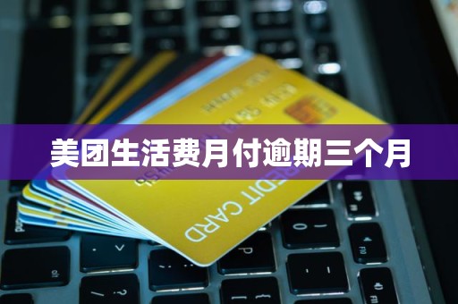 美团生活费月付逾期三个月