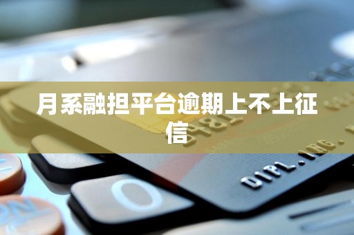 月系融担平台逾期上不上征信