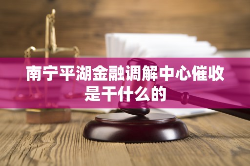 南宁平湖金融调解中心催收是干什么的 南宁平湖金融调解中心催收是干什么的