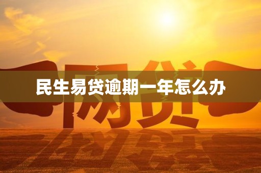 民生易贷逾期一年怎么办