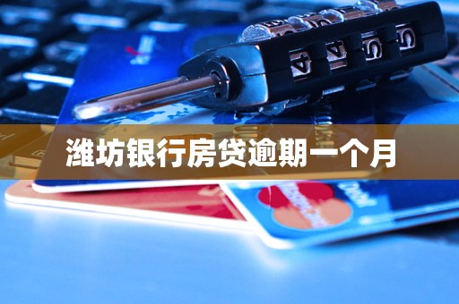 潍坊银行房贷逾期一个月