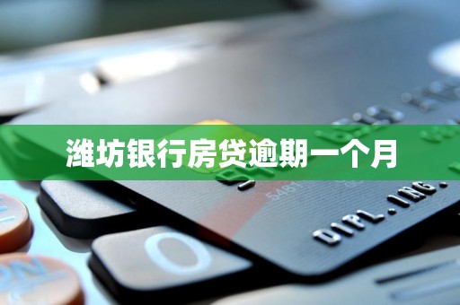 潍坊银行房贷逾期一个月