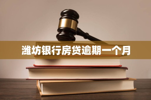 潍坊银行房贷逾期一个月