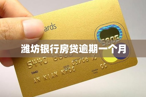 潍坊银行房贷逾期一个月