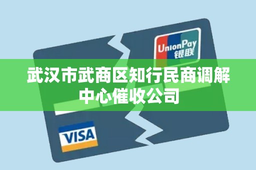 武汉市武商区知行民商调解中心催收公司