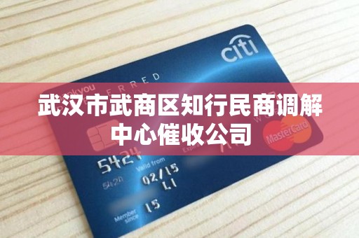 武汉市武商区知行民商调解中心催收公司