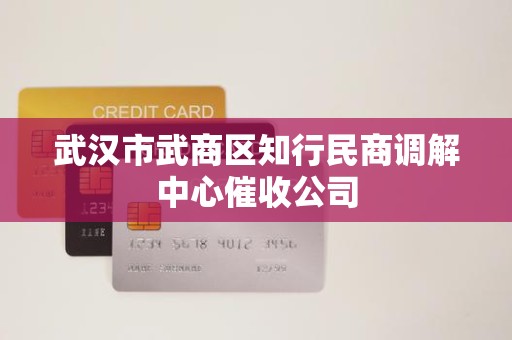 武汉市武商区知行民商调解中心催收公司