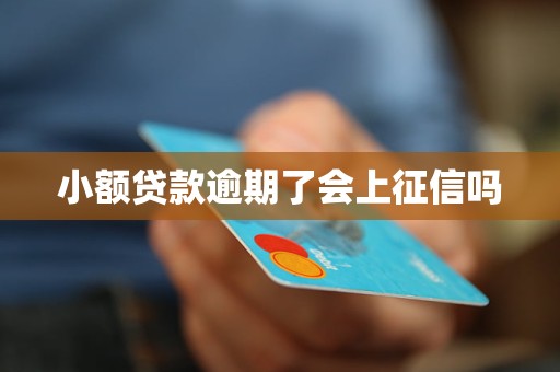 小额贷款逾期了会上征信吗