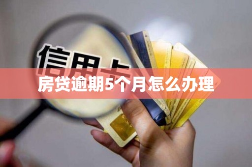 房贷逾期5个月怎么办理