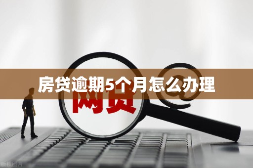 房贷逾期5个月怎么办理 房贷逾期5个月怎么办理