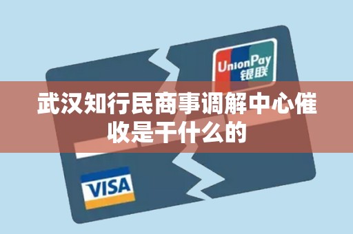 武汉知行民商事调解中心催收是干什么的