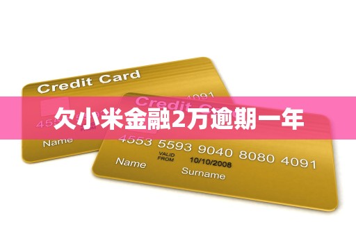 欠小米金融2万逾期一年