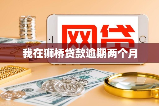 我在狮桥贷款逾期两个月
