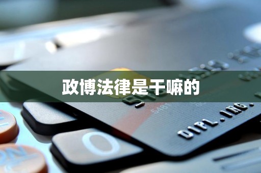 政博法律是干嘛的