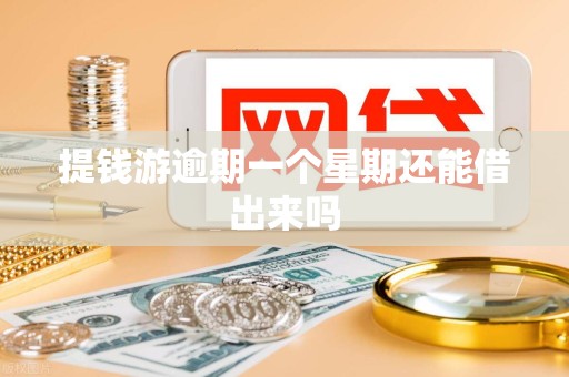 提钱游逾期一个星期还能借出来吗
