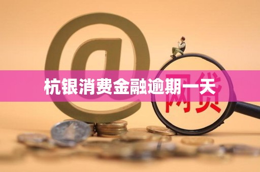 杭银消费金融逾期一天