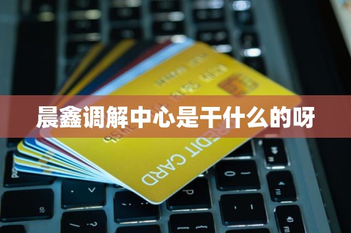 晨鑫调解中心是干什么的呀