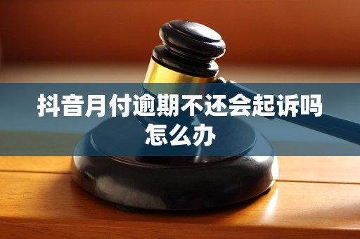 抖音月付逾期不还会起诉吗怎么办