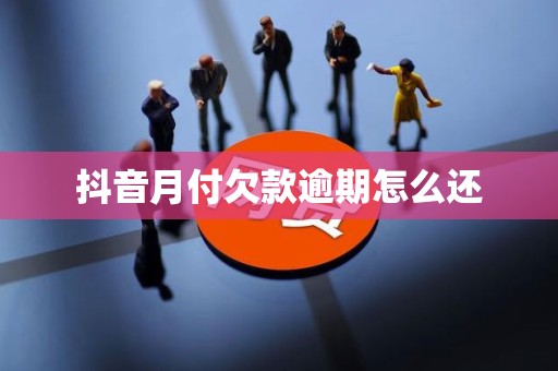 抖音月付欠款逾期怎么还 抖音月付欠款逾期怎么还