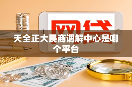 天全正大民商调解中心是哪个平台