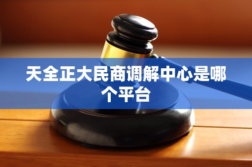 天全正大民商调解中心是哪个平台