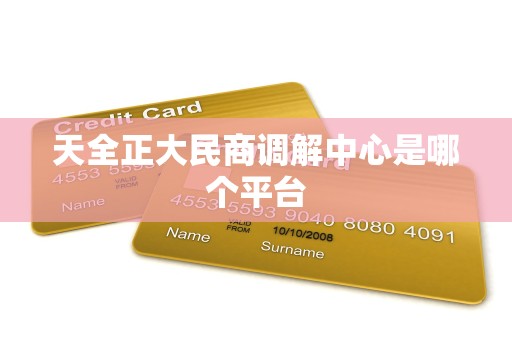天全正大民商调解中心是哪个平台