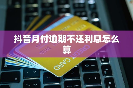 抖音月付逾期不还利息怎么算 抖音月付逾期不还利息怎么算