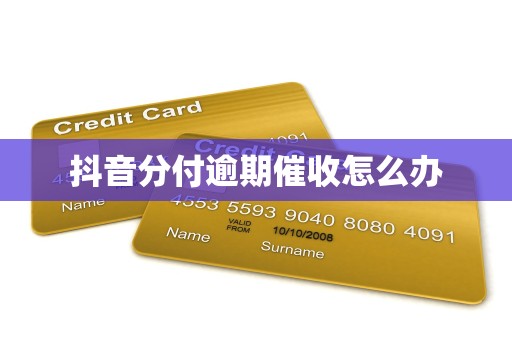 抖音分付逾期催收怎么办