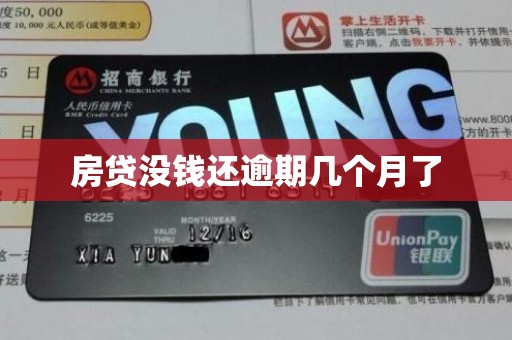 房贷没钱还逾期几个月了