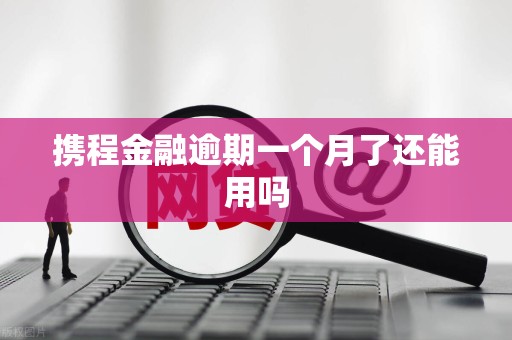 携程金融逾期一个月了还能用吗