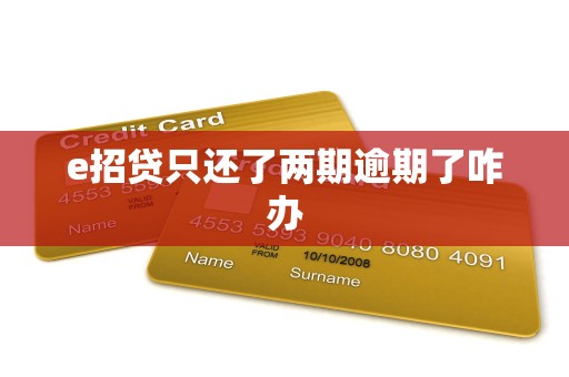 e招贷只还了两期逾期了咋办