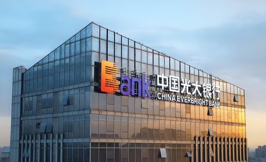 50万中年人的百亿信用卡坏账 被光大银行0.5折甩卖了__50万中年人的百亿信用卡坏账 被光大银行0.5折甩卖了