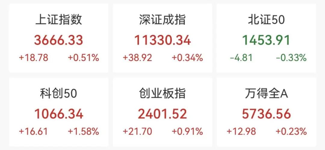 “沸了”！刚刚，涨停潮
