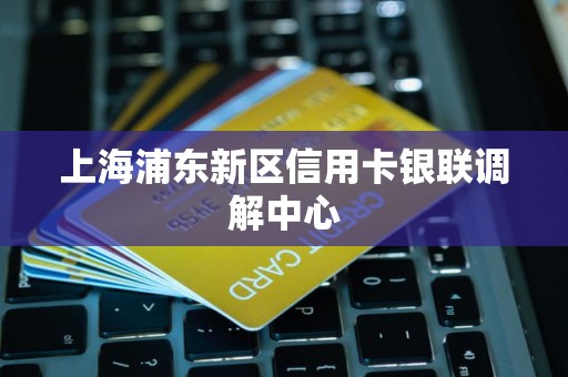 上海浦东新区信用卡银联调解中心