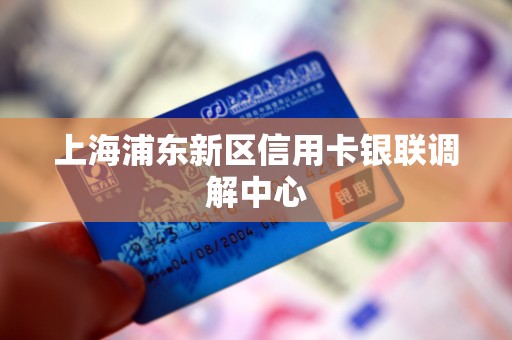 上海浦东新区信用卡银联调解中心