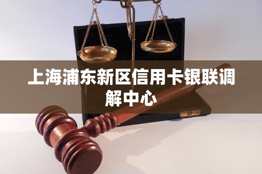 上海浦东新区信用卡银联调解中心