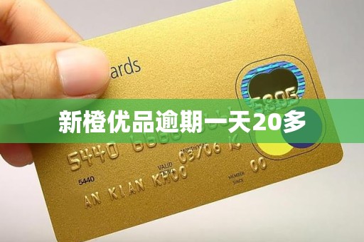 新橙优品逾期一天20多