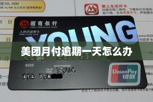 美团月付逾期一天怎么办