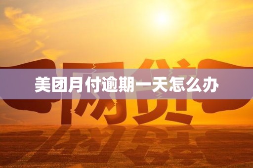 美团月付逾期一天怎么办