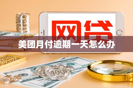 美团月付逾期一天怎么办