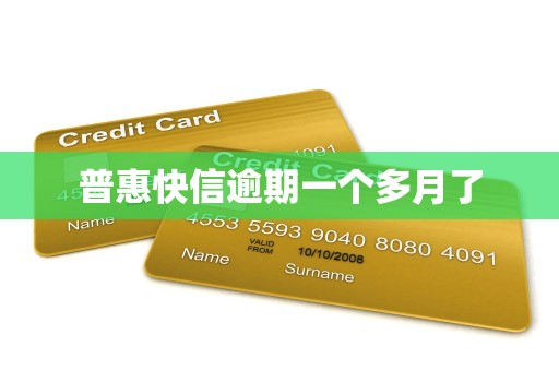 普惠快信逾期一个多月了
