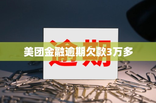 美团金融逾期欠款3万多