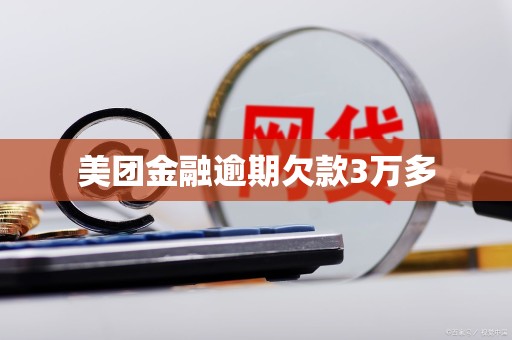 美团金融逾期欠款3万多