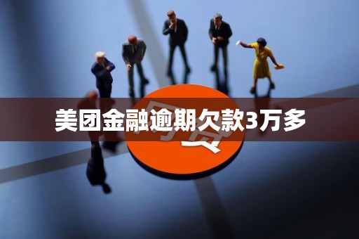 美团金融逾期欠款3万多