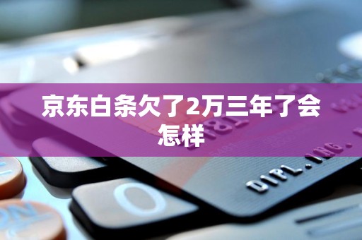 京东白条欠了2万三年了会怎样